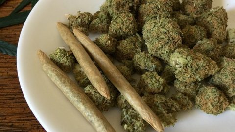 Weed and cannabis on a plate