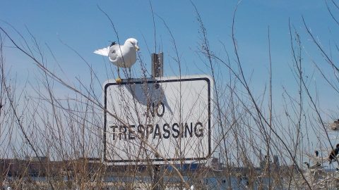 No trespassing