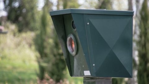 Speed camera green