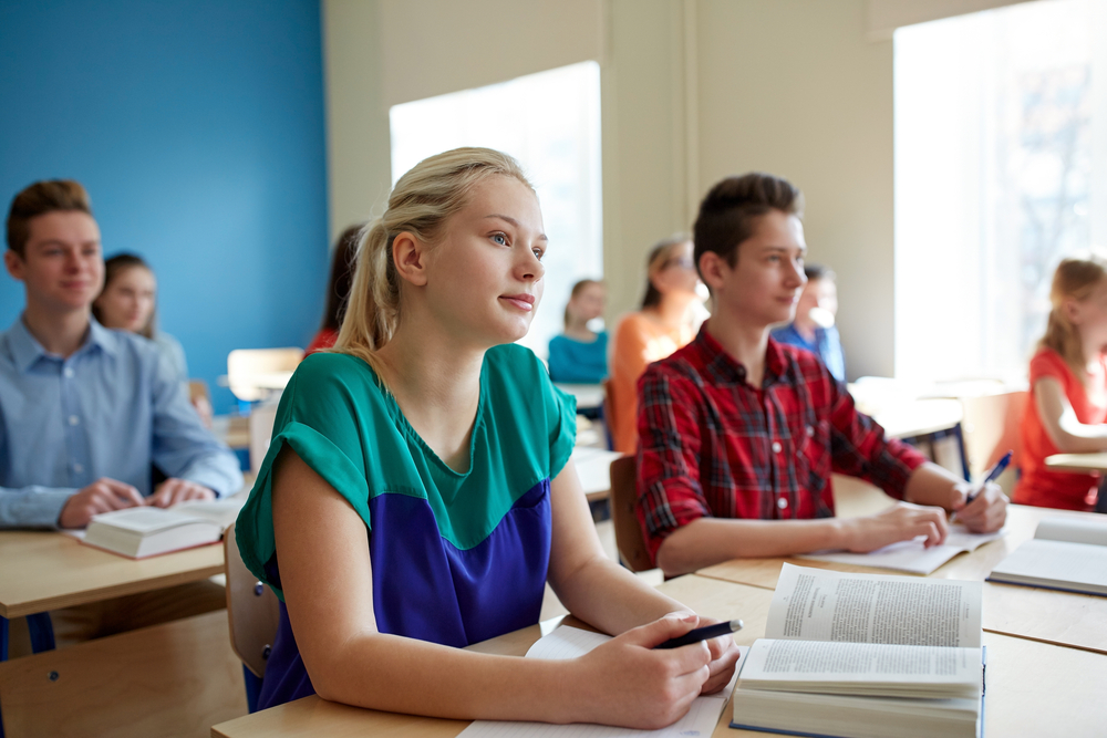 Combating Radicalisation in Schools