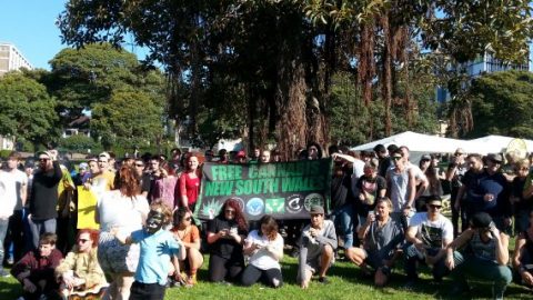 Free cannabis NSW 420