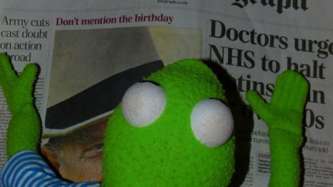 Kermit reading the Daily Telegraph