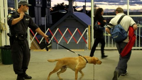 Police with a sniffer dog