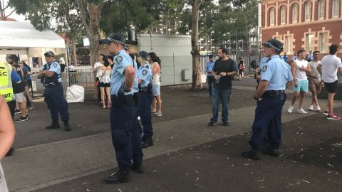 Police supervising festival