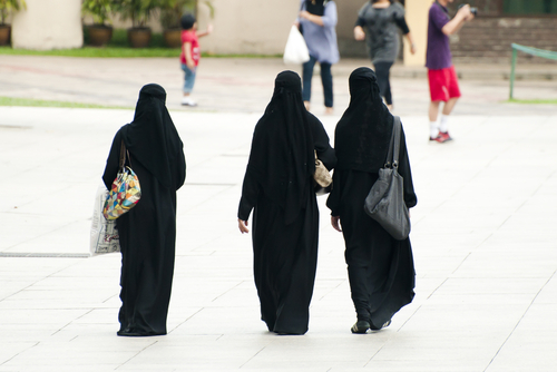 Danish Women Defy Burqa Ban