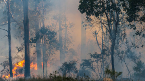 Bushfire Australia