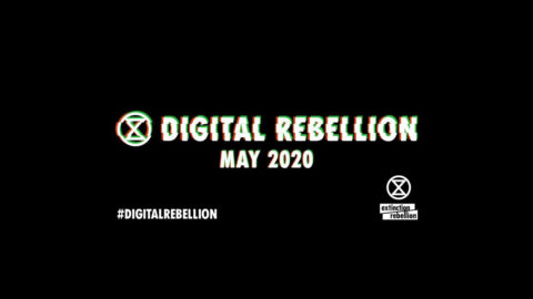 Digital Rebellion