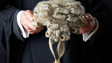 Barrister wig