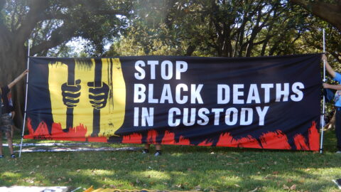 Black deaths in custody