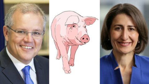 Coalition Porkbarrelling