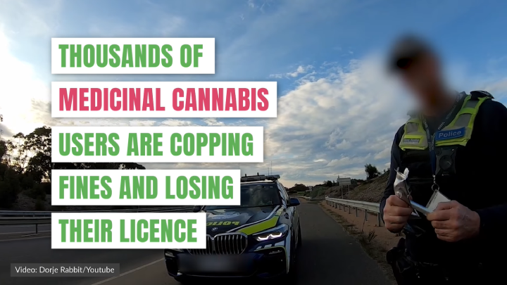 NSW Parliament To Consider Medicinal Cannabis Defence To Drug Driving