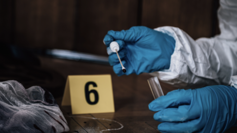 Forensic Experts