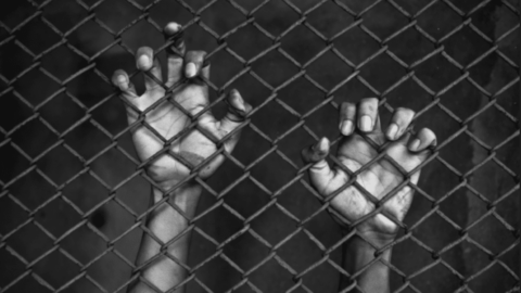 Kids hands holding gate