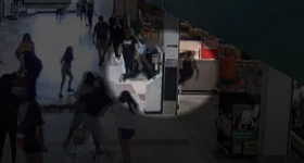 NSW Police Officers Assault Females at New South Wales Shopping Centre