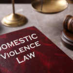 The Offence of Persistently Contravening an Apprehended Domestic Violence Order in NSW