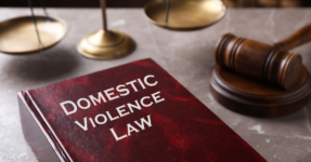 Domestic Violence law book