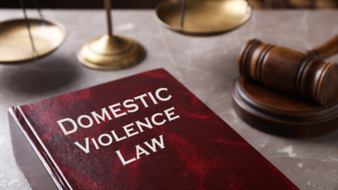 Domestic Violence law book