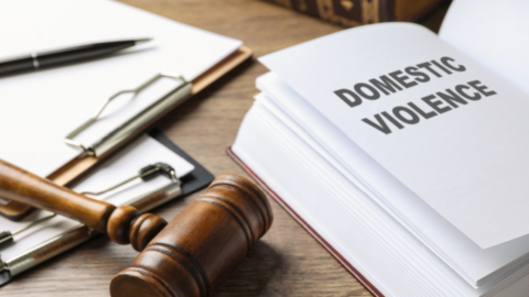 Domestic Violence laws