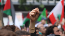 Free Palestine and Free Lebanon Rally