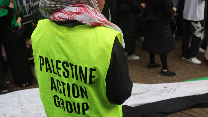 Palestine action group