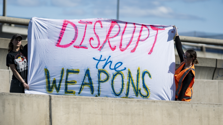 Protesters at the first Disrupt Land Forces action make their intentions known. Photo credit photographer Matt Hrkac