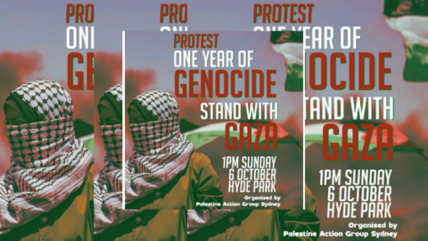 Pro-Palestine Protest