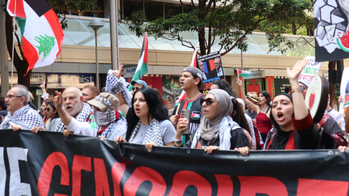 These people have been calling for the end to the mass slaughter of Palestinians by the Israeli state, and despite Jillian Segal’s commentary, these people don’t hurl racial abuse at Jewish people in the CBD