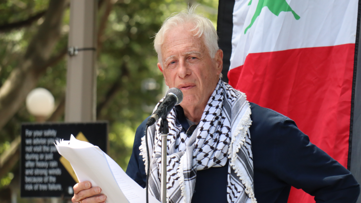 The long-maligned pro-Palestinian demonstrators of the Greater Sydney region took solace in Professor Peter Slezak debunking the weaponisation of antisemitism in the public sphere