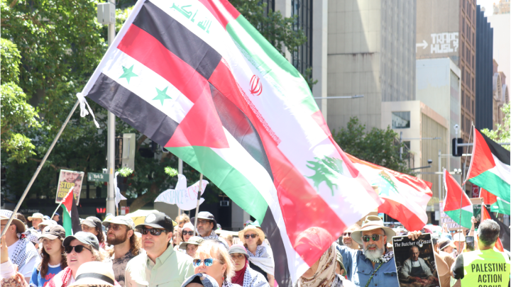 The flags of the resistance