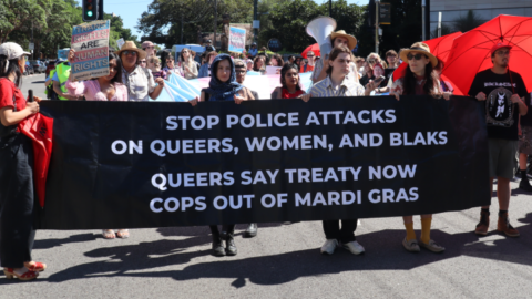 Police mardi gras